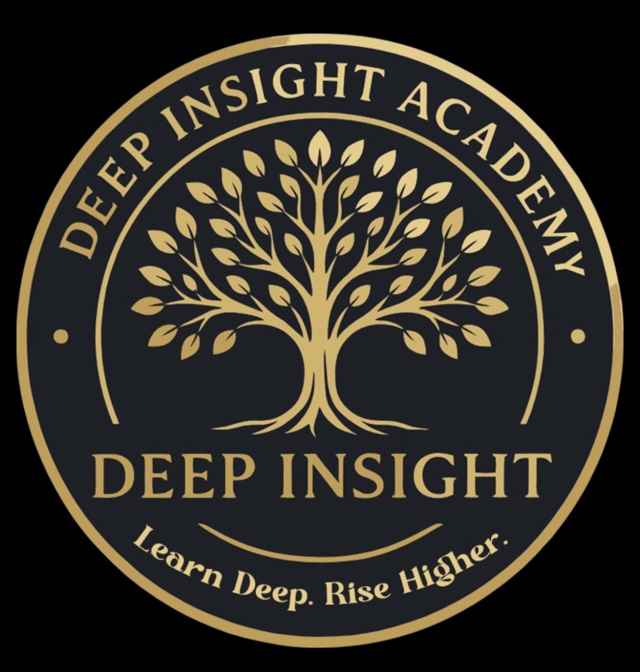 Deep Insight Academy Logo